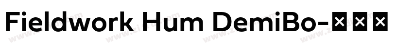 Fieldwork Hum DemiBo字体转换